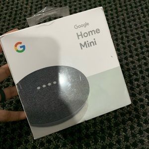 Google home mini